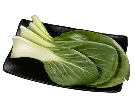 Bok choy vegetable for hot pot at KPOT